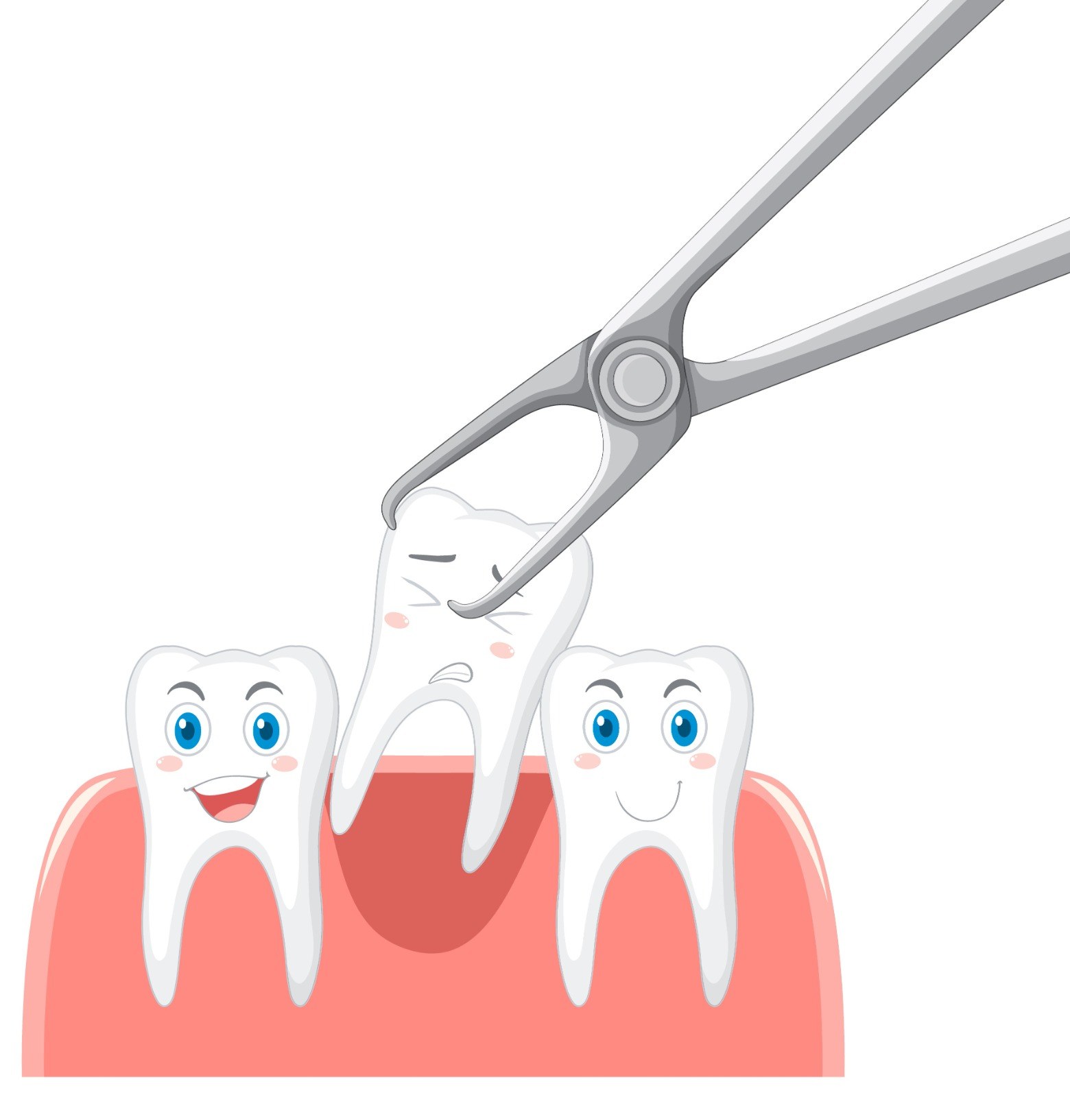 Diş Çekimi - Dt. Halime Savcı, Mardin